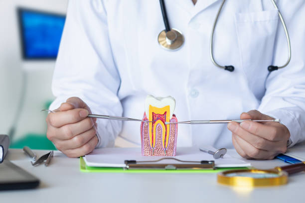 Emergency Dentist for Kids in IN